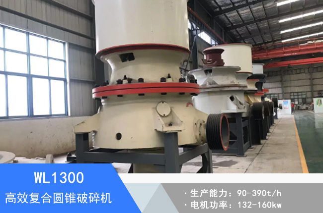 WL1300�ͺψA�F����C