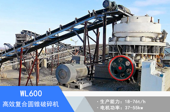 WL600�ͺψA�F����C